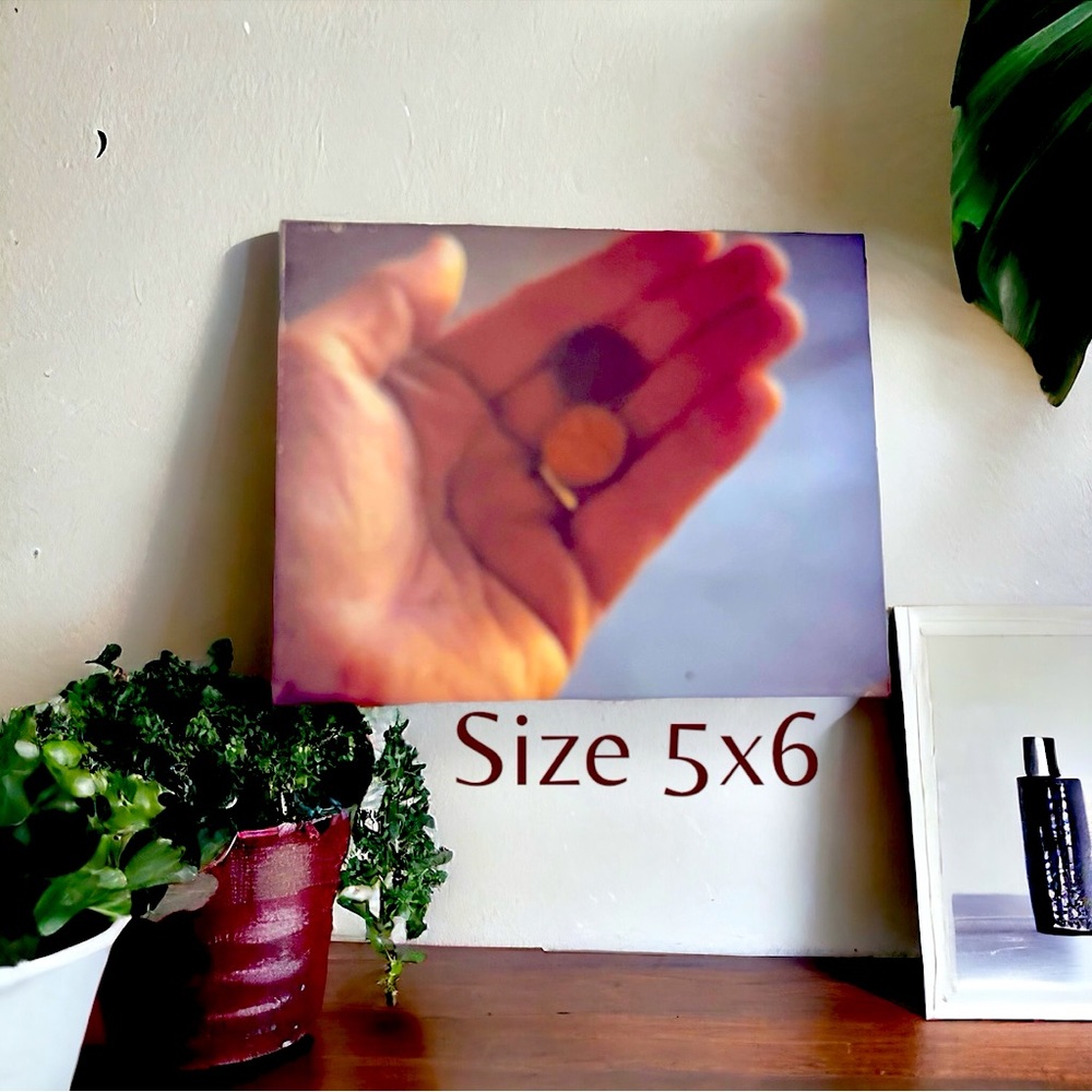 Photo on canvas “Two Pennies”. NEW IN PLASTIC